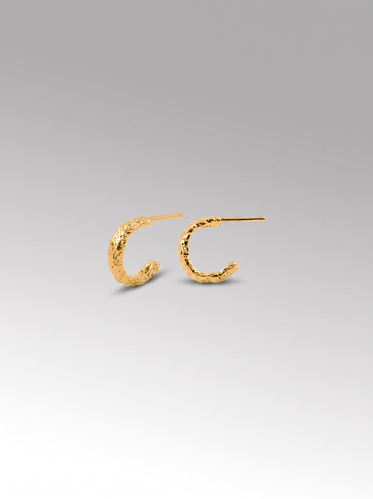 Mini Cocodrilo Hoops – Gold Plated